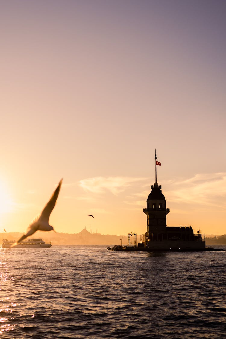 Seagull Flying By Silhouette Of Maidens Tower In Istanbul, Turkey