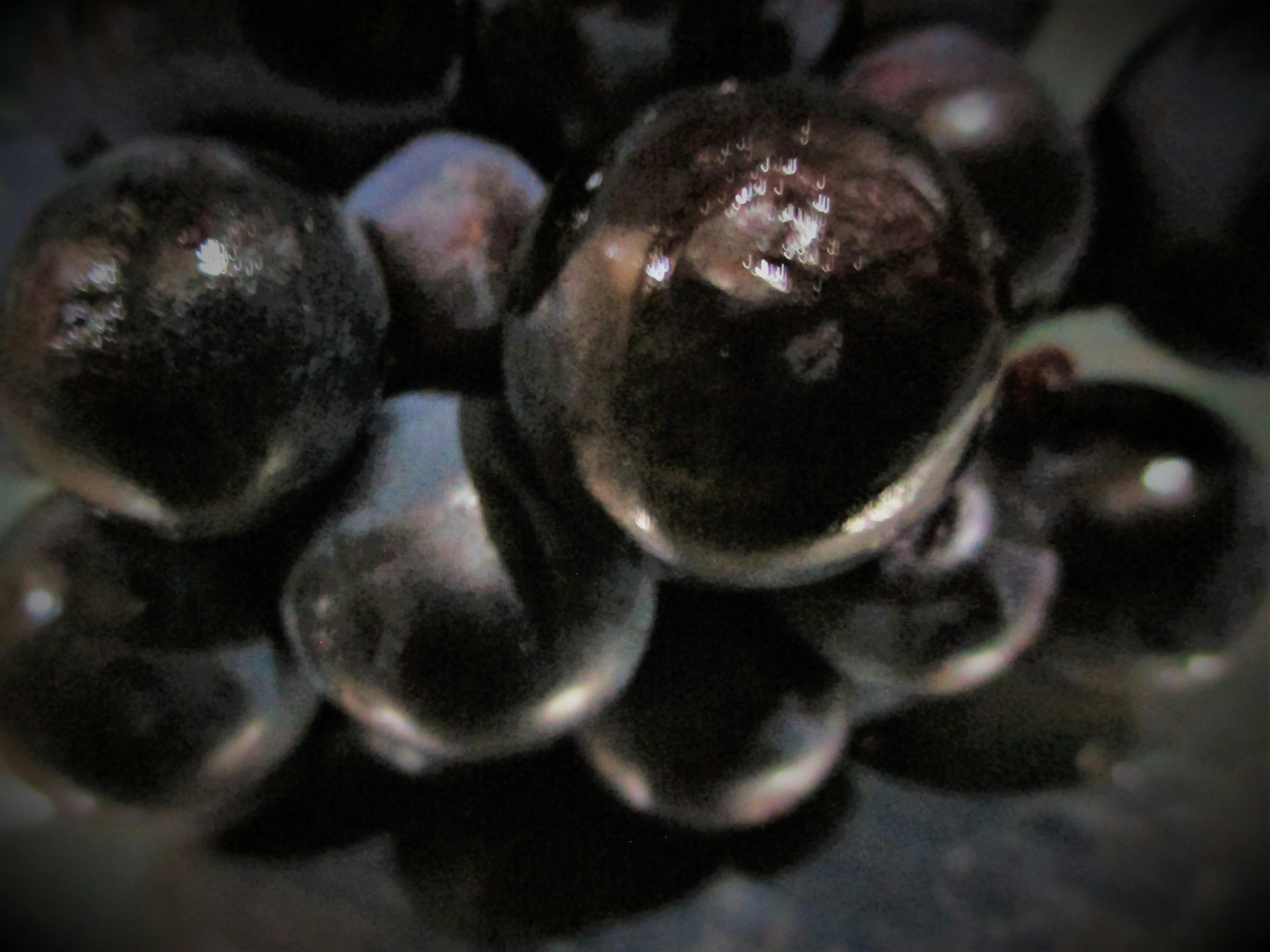 Nexon EV Electric Vehicle