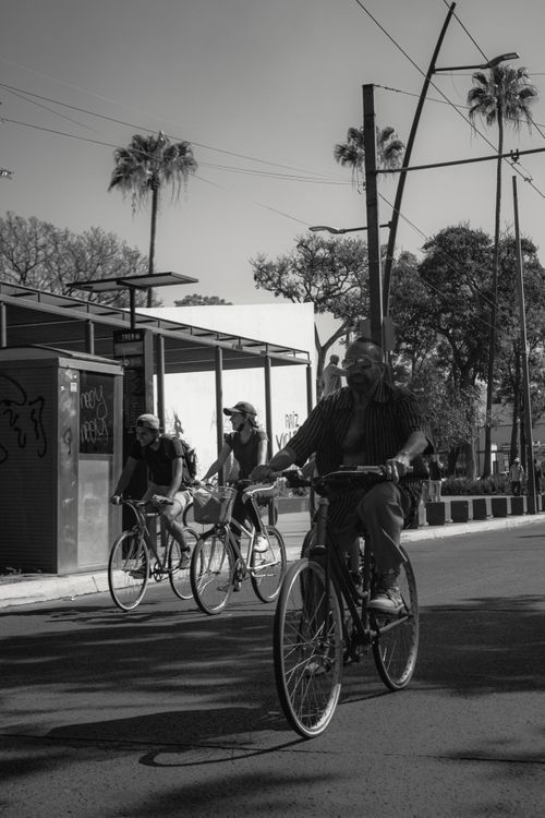 Free Group of cyclists riding through city street in black and white photograph. Stock Photo
