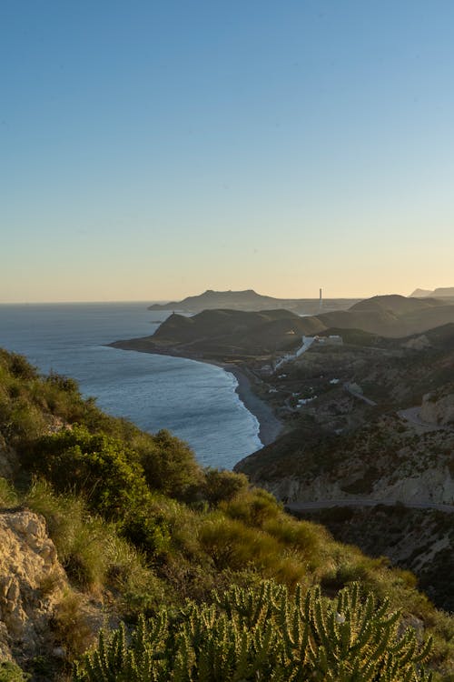 Бесплатное стоковое фото с Аэрофотосъемка, вертикальный выстрел, водоем