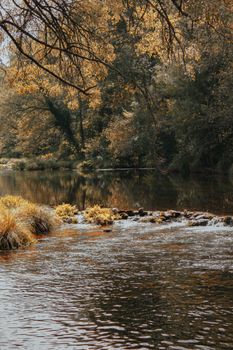Serene autumn river with gently flowing water and golden foliage.