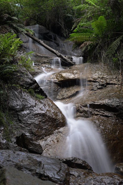 Photos gratuites de accéléré, cailloux, cascade