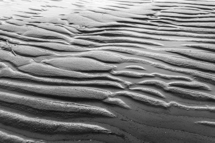 Texture Of Wet Sand