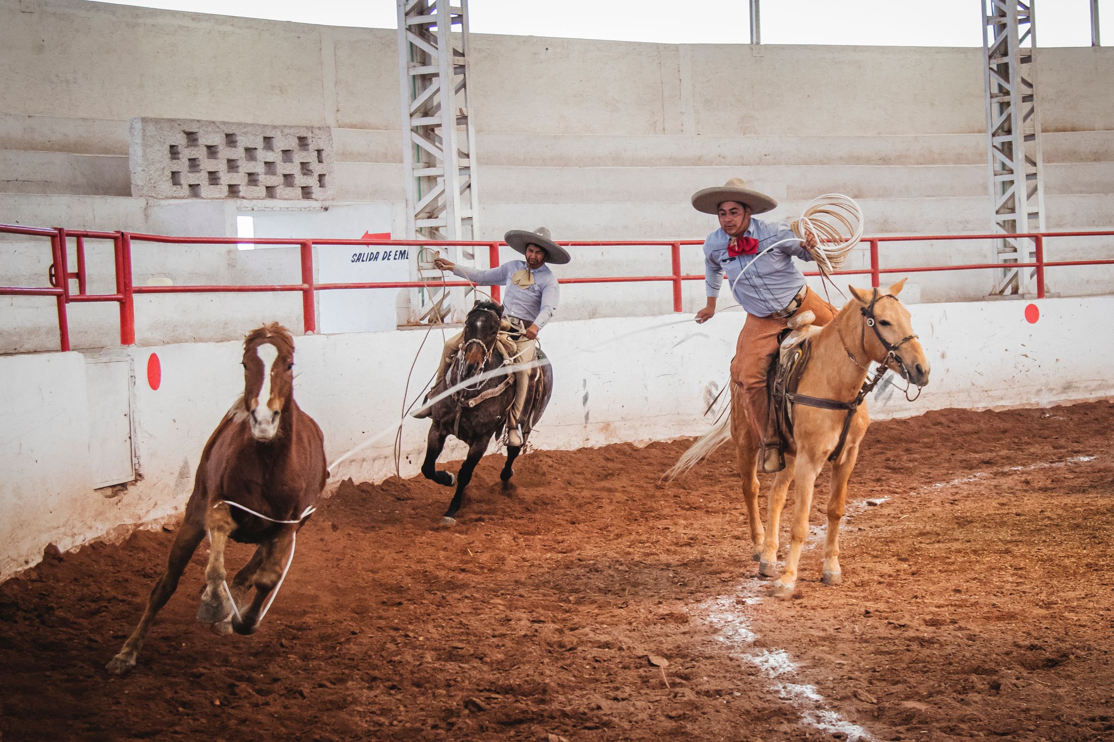 Translate Rodeo Cowboys Lassoing Performance · Free Stock Photo