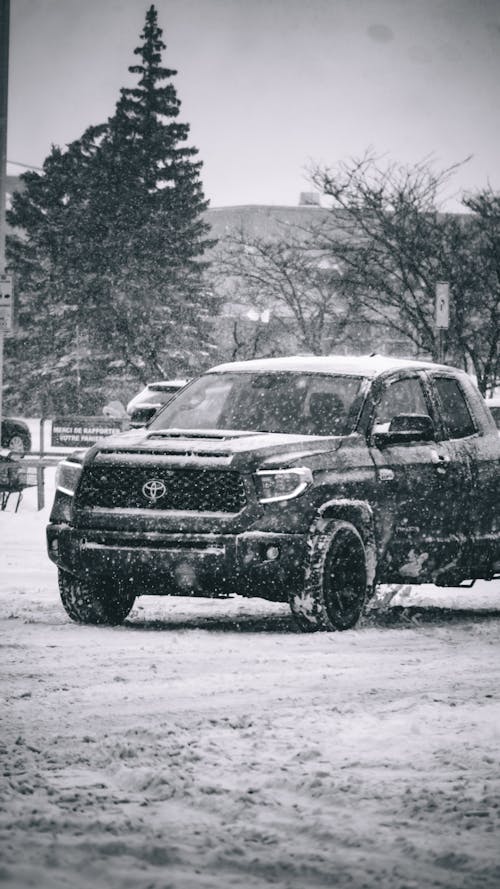 A Black Car with White Snow