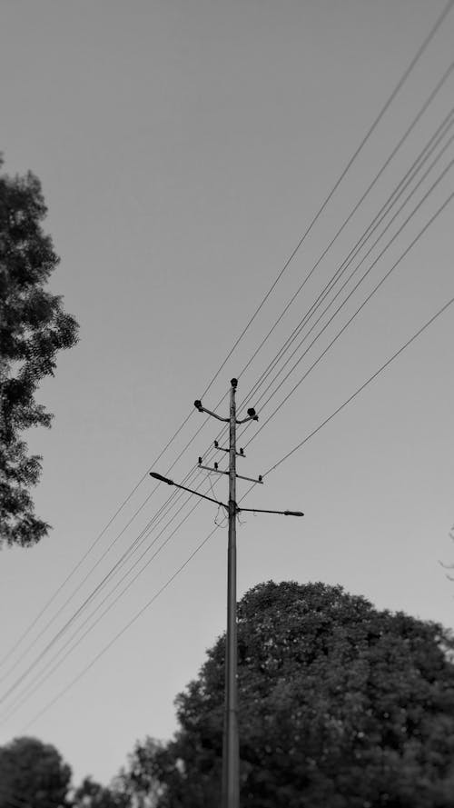 Základová fotografie zdarma na téma elektřina, kabely, letní nálada