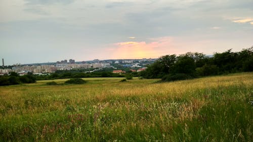 Free stock photo of city, field, glow