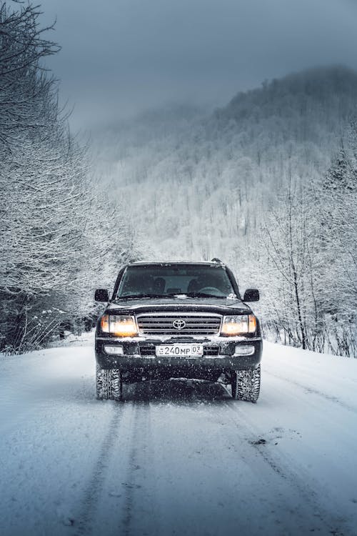 A Black Car on the Snow