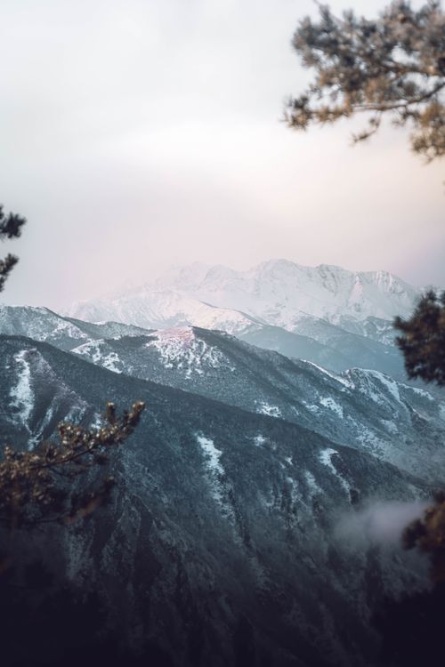 Free Breathtaking view of snow-capped mountains surrounded by fog and trees. Stock Photo