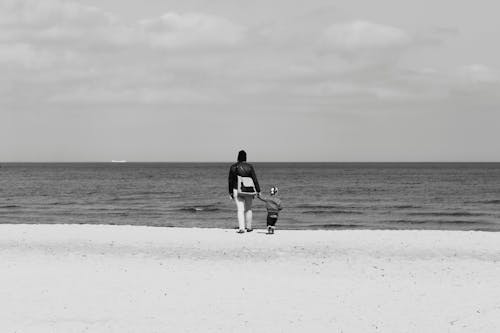 Free stock photo of people, sea