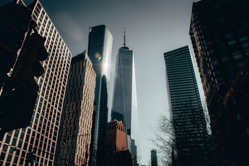 Low-Angle Shot of High Rise Buildings in the City