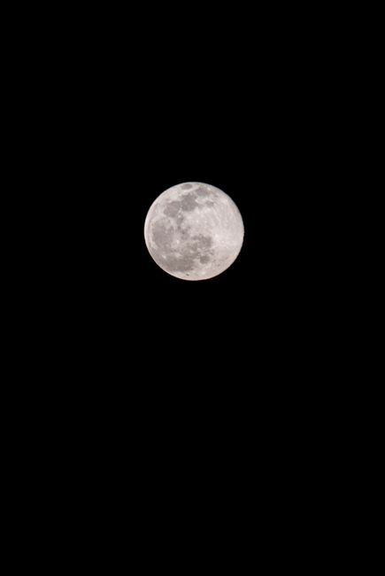 Fotomural Impresionante luna llena contra un cielo nocturno negro, perfecta para entusiastas de la luna y amantes de la astronomía.