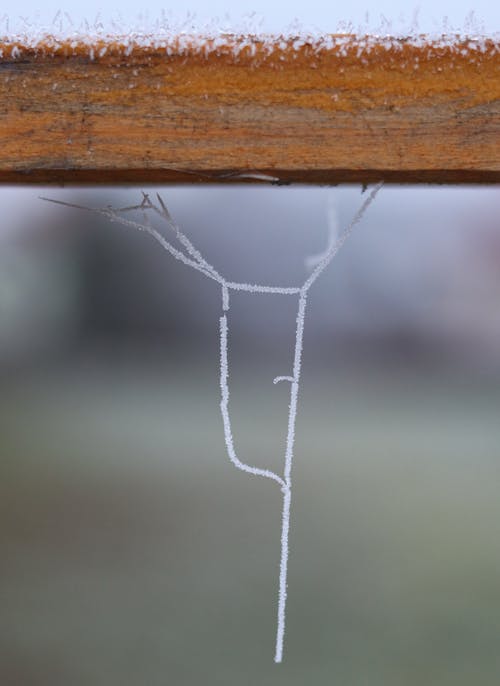 Close Up of Frozen Spiderweb