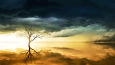 黄昏时分，一棵光秃秃的孤树倒映在平静的水面上，天空中乌云密布