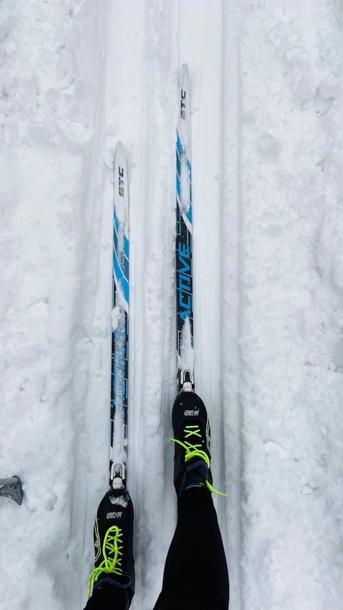 Legs on Skis in Snow