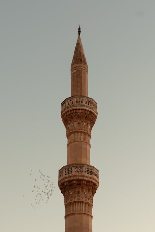 Základová fotografie zdarma na téma architektura, budova, chand minar
