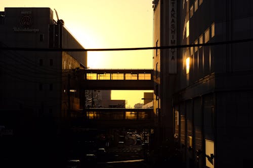 Бесплатное стоковое фото с восход, закат, здания