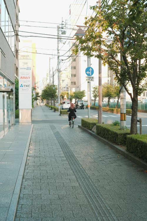 Free Person riding a bicycle on a city sidewalk surrounded by buildings and trees on a sunny day. Stock Photo