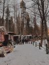 Landscape Photography of Romani Wagons