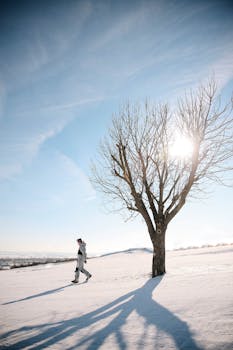 A man walks on a snow-covered field beside a leafless tree with sunlight.