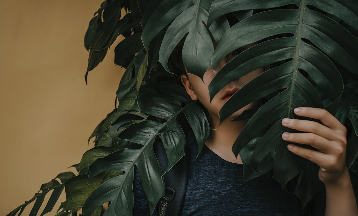 Free Photo of a Boy Near Leaves Stock Photo