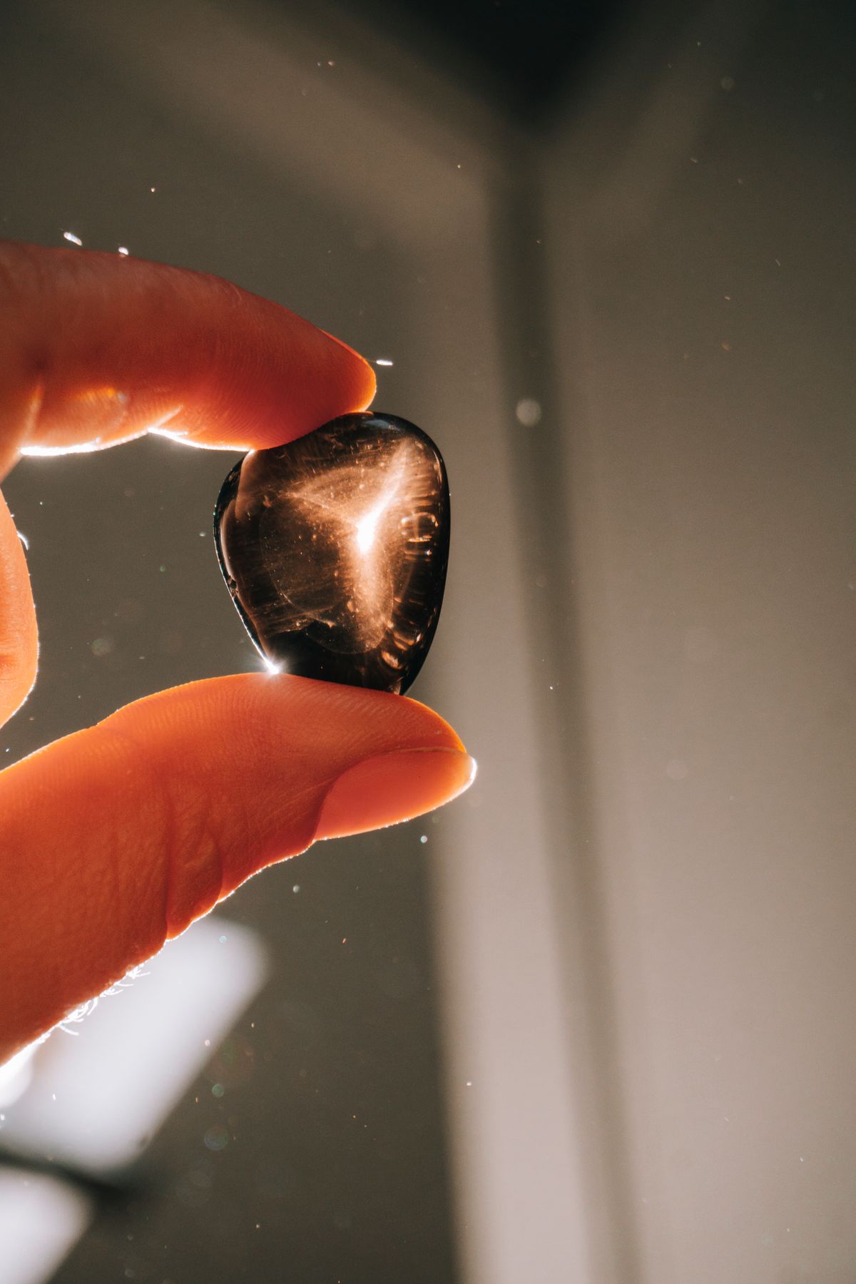Polished dark gemstone held in natural light