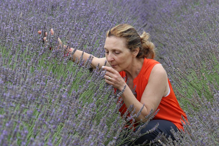 A Woman Smelling Flowers In A Lavender Field