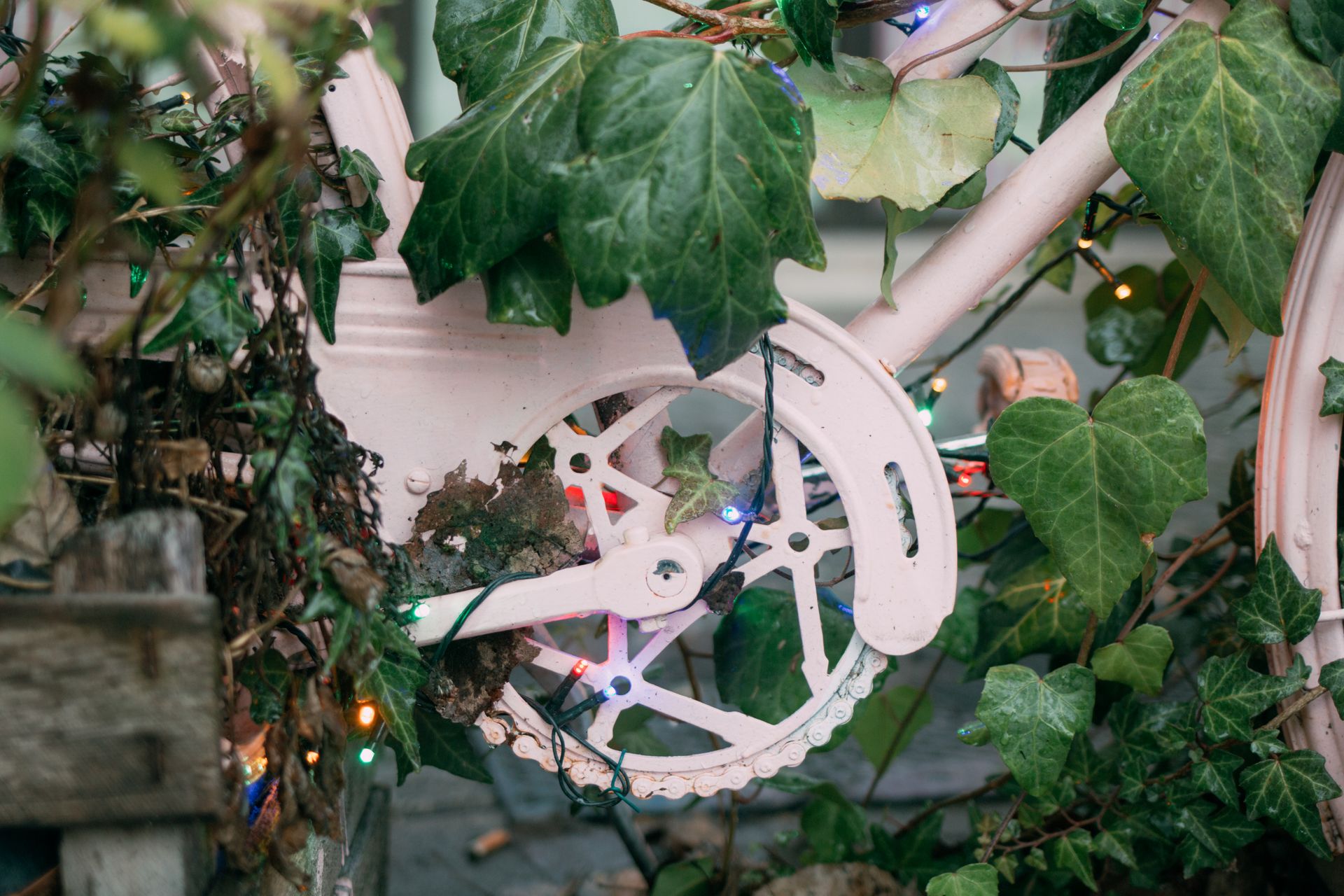 A close-up of a pink bicycle adorned with ivy and lights, creating a whimsical outdoor garden decoration.
