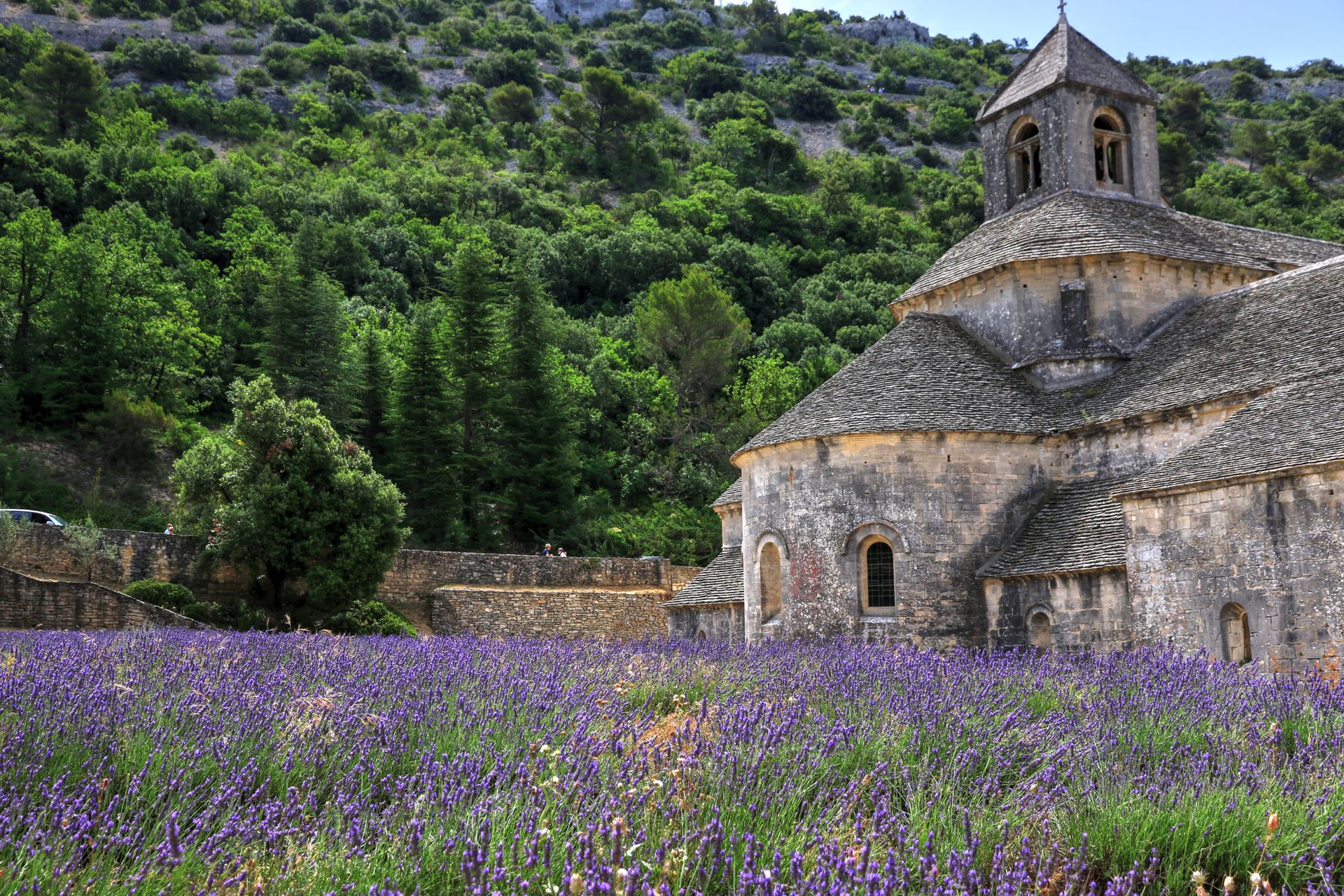 Abbey of Sénanque Near Lavender Flower Field