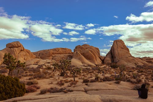 Kostenloses Stock Foto zu blauer himmel, canyon, joshua tree nationalpark