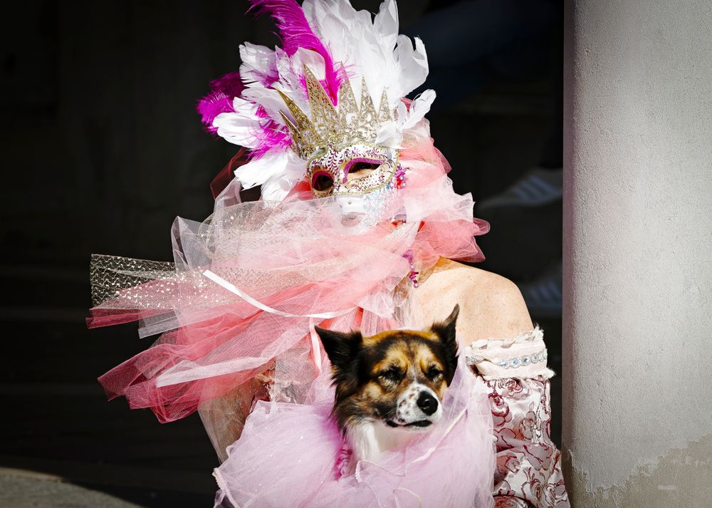 Femeie în costum de carnaval venețian, alături de un cățel cu mască