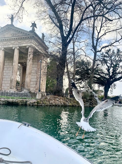 abide, berraklık, büyü içeren Ücretsiz stok fotoğraf