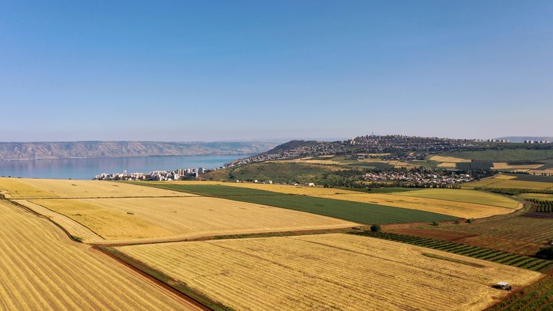 İşgalci İsrailliler Batı Şeriada buğday tarlalarını ateşe verdi