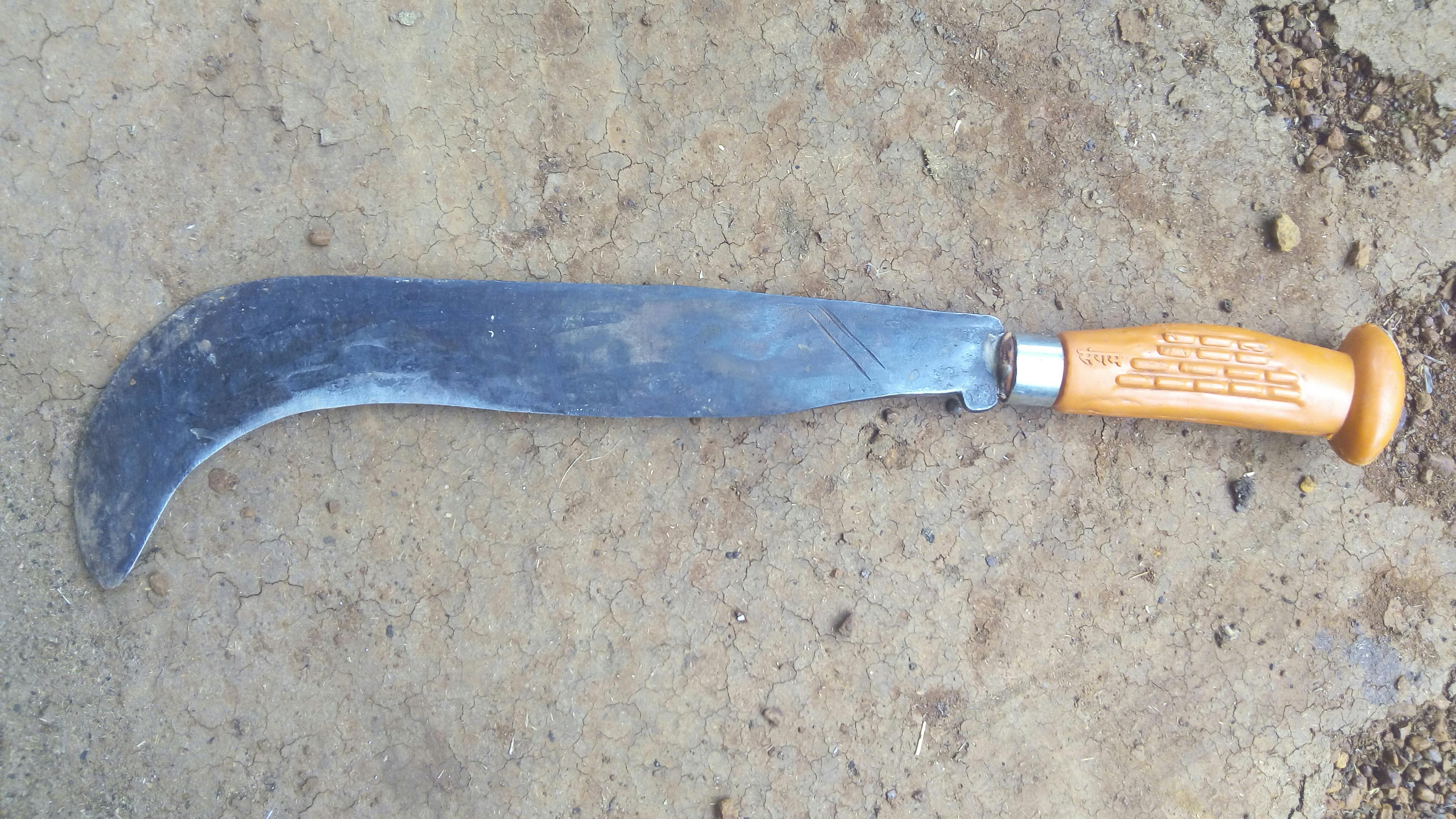 Free stock photo of Indian farmer cutting tool, indian village, Local name Koyata