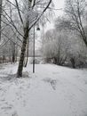 Winter love
