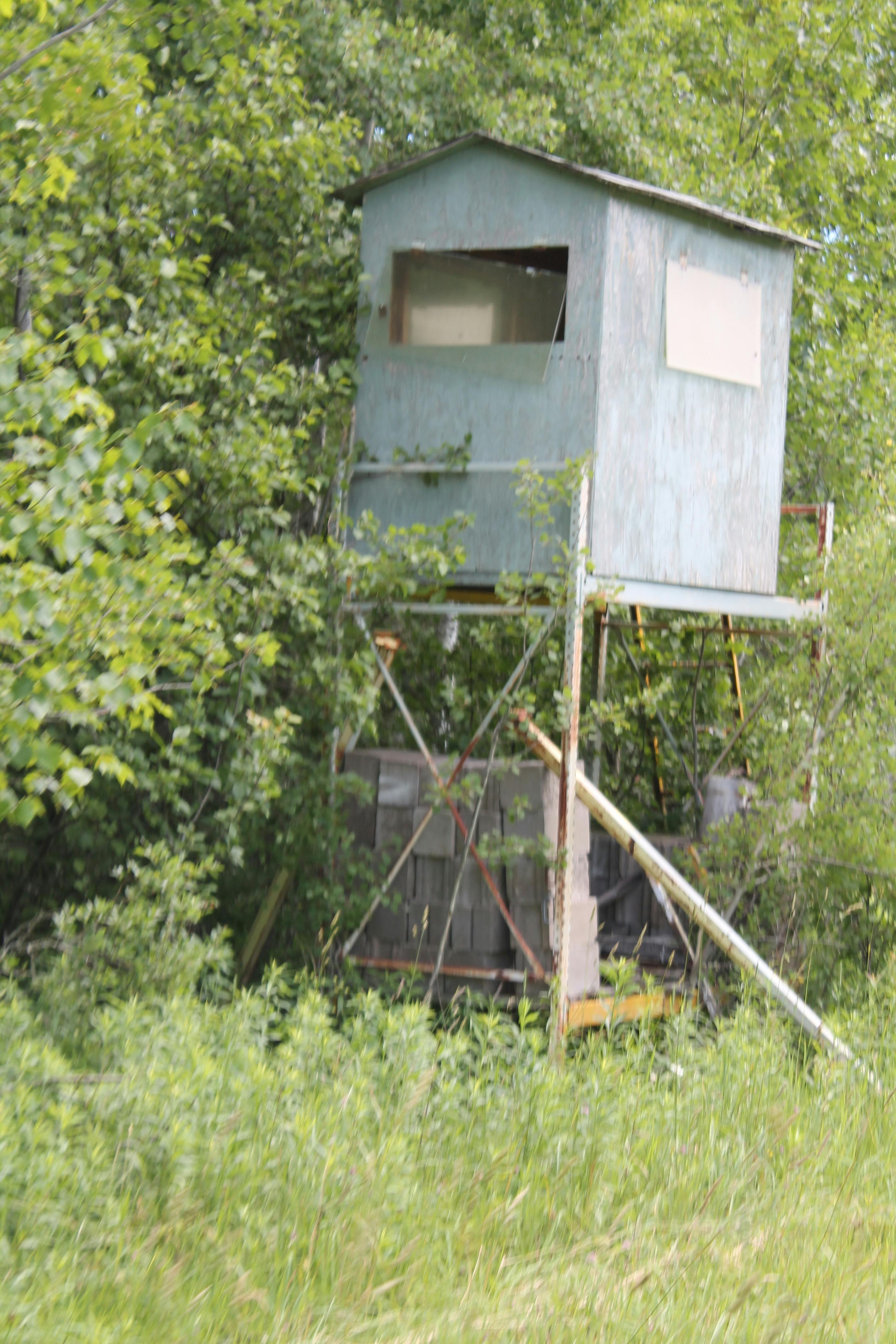 Passionate couple in bed eyes locked intimate moment
