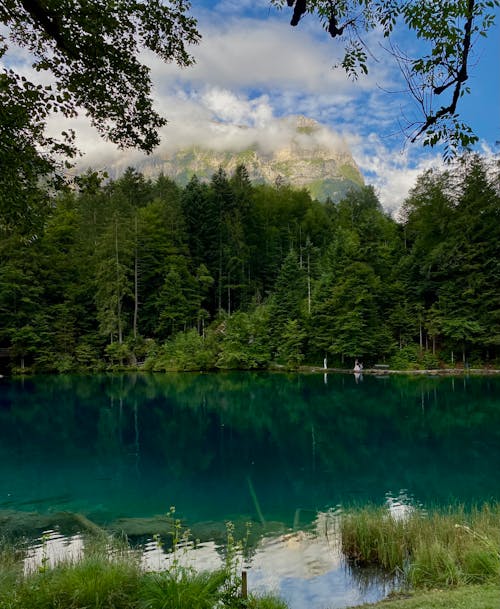 Immagine gratuita di bellezza della natura, blausee, lago blu