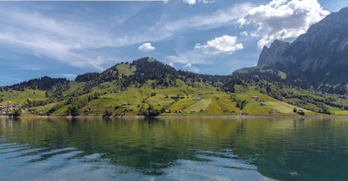 Фотография сделана на водоеме