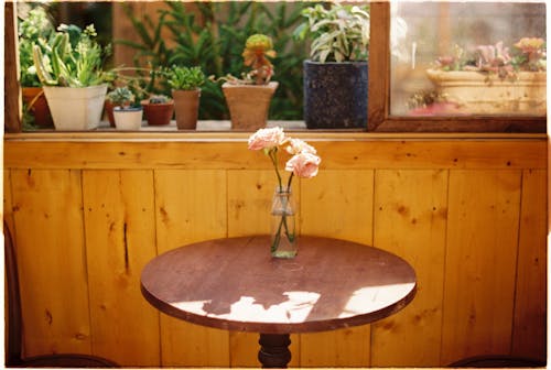 Základová fotografie zdarma na téma květiny, stůl, uvnitř