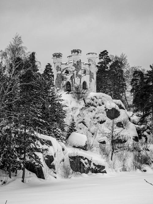 Gratis stockfoto met berg, bomen, eenkleurig