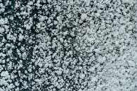 Closeup of a Textured Surface