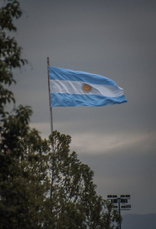 Foto profissional grátis de Argentina, árvores, bandeira