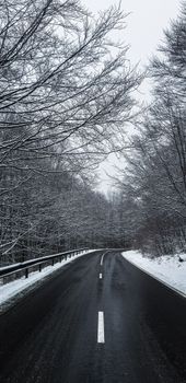 A peaceful winter scene featuring a snow-covered road flanked by bare trees.