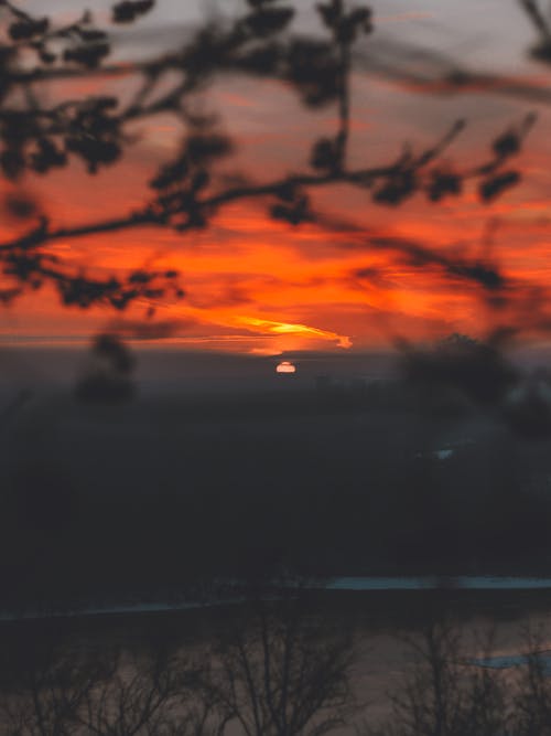 Foto profissional grátis de alvorecer, cair da noite, galhos de árvore