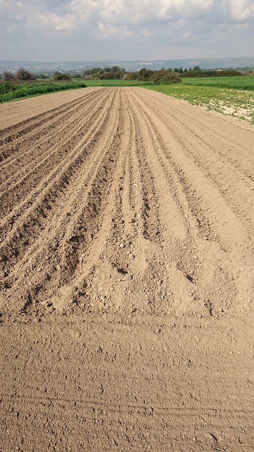 Free Ploughed field in spring Stock Photo