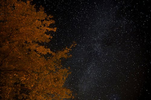 คลังภาพถ่ายฟรี ของ astrophotography, การถ่ายภาพกลางคืน, คืนท้องฟ้า