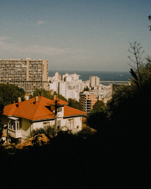 Free stock photo of 35mm, 35mm film, algiers