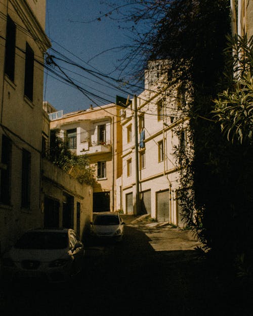 Free stock photo of 35mm, 35mm film, algiers