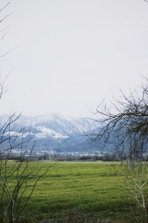 White Sky above Snow Capped Mountain and a Grass Field