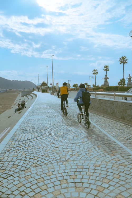 Free Cyclists enjoy a sunny ride along a picturesque coastal pathway lined with palm trees. Stock Photo